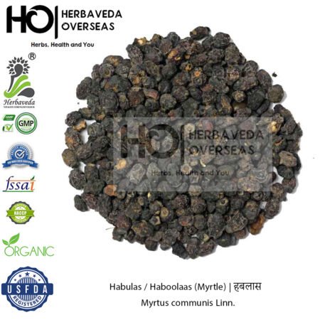 Habulas / Haboolaas (Myrtle) | हबलास | Myrtus communis Linn.