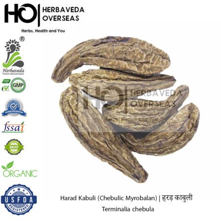 Harad Kabuli (Chebulic Myrobalan) | हरड़ काबुली | Terminalia chebula