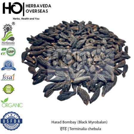 Harad Bombay (Black Myrobalan) | हरड़ | Terminalia chebula