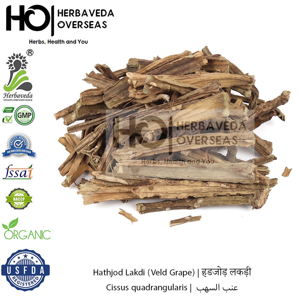 Hathjod Lakdi (Veld Grape) | हडजोड़ लकड़ी | Cissus quadrangularis