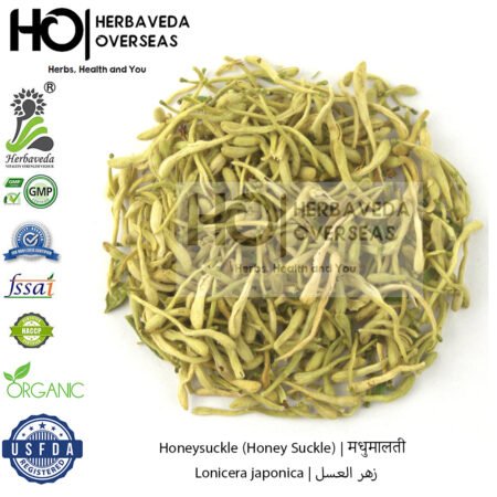 Honeysuckle (Honey Suckle) | मधुमालती | Lonicera japonica
