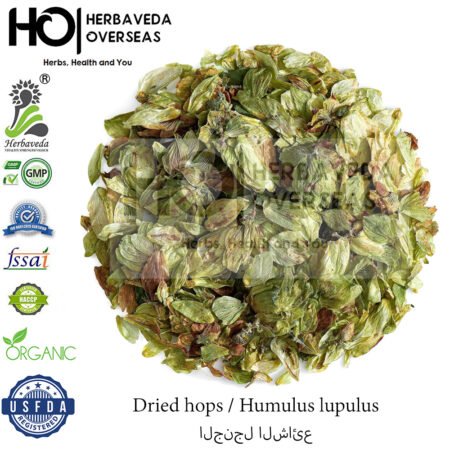 Hops | हॉप्स | Humulus lupulus