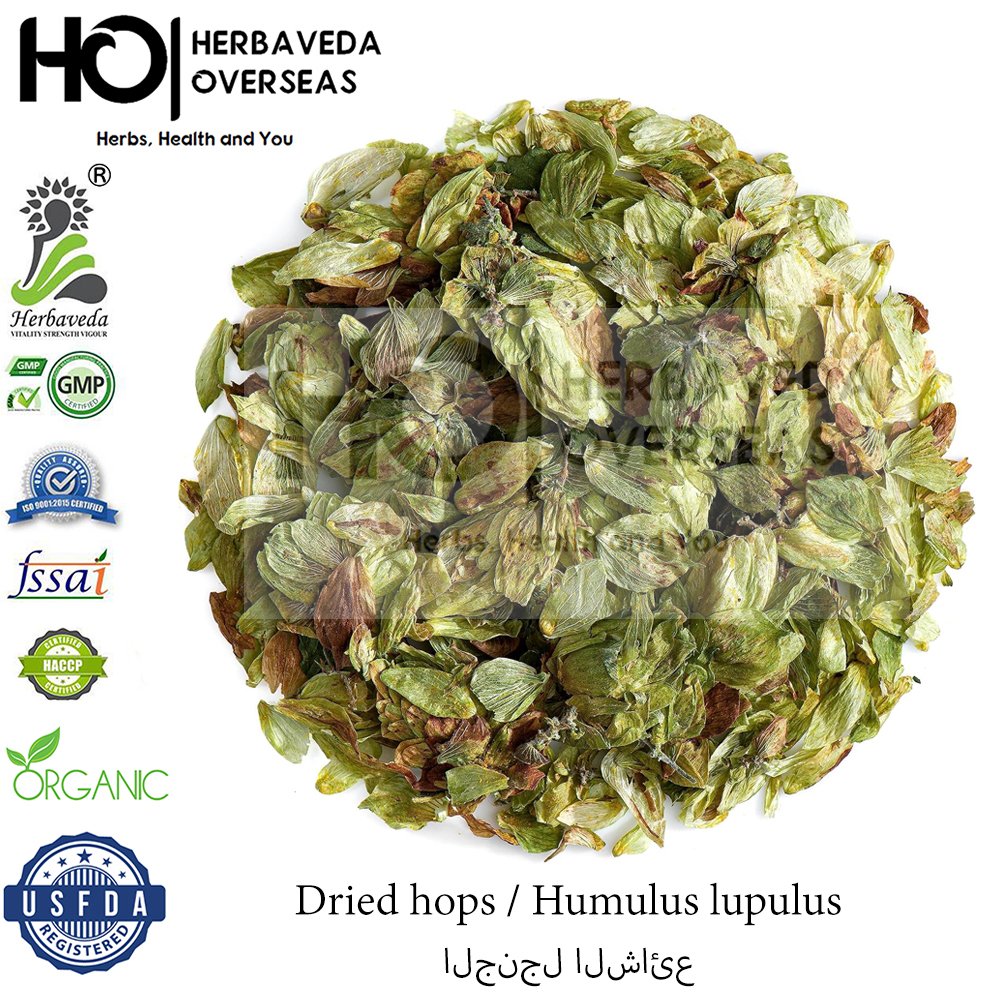 Hops | हॉप्स | Humulus lupulus