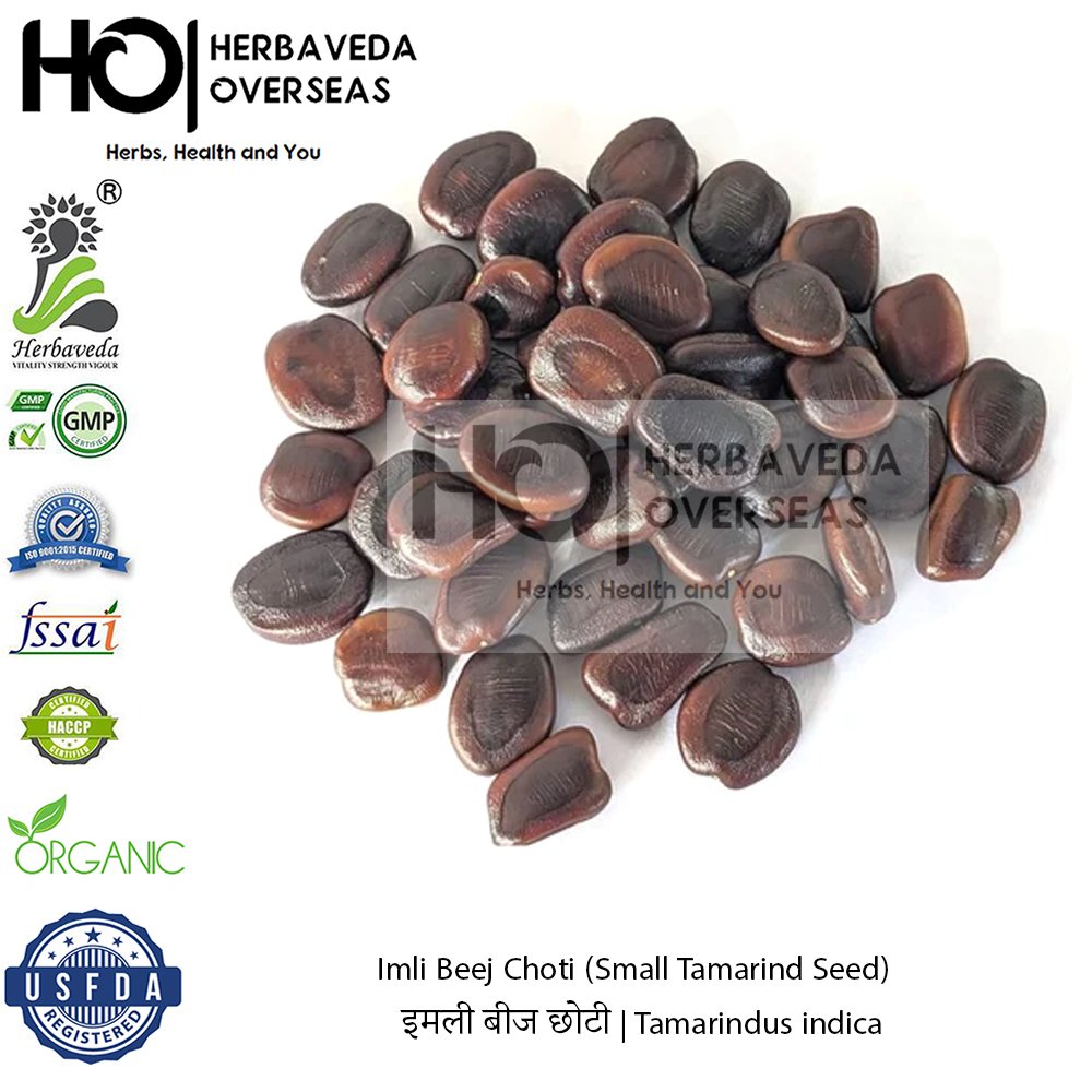 Imli Beej Choti (Small Tamarind Seed) | इमली बीज छोटी | Tamarindus indica