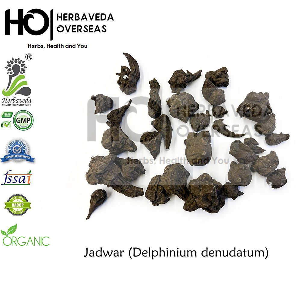 Jadwar (Nirvisha) | जाडवार | Delphinium denudatum