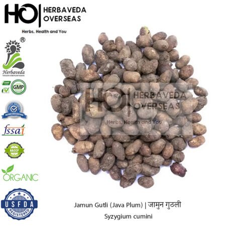 Jamun Gutli (Java Plum) | जामुन गुठली| Syzygium cumini