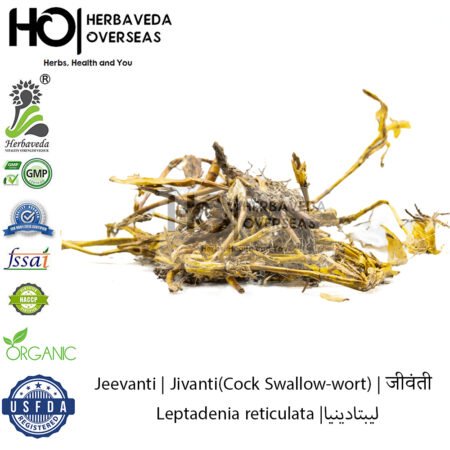Jivanti (Cock Swallow-wort) | जीवंती | Leptadenia reticulata