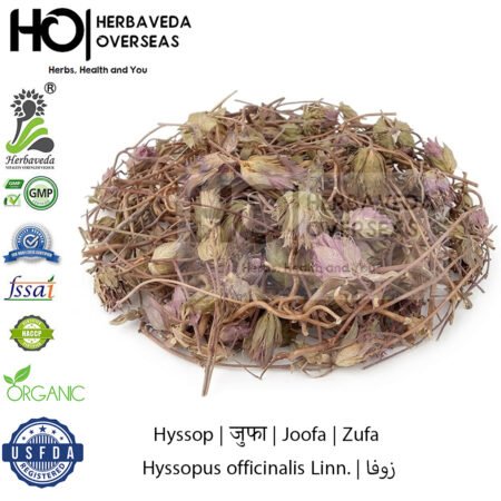 Hyssop | जुफा | Hyssopus officinalis