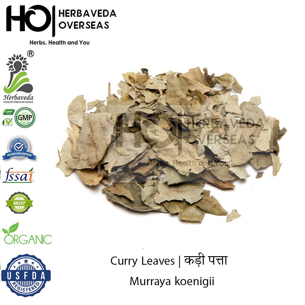 Curry Leaves | कड़ी पत्ता | Murraya koenigii