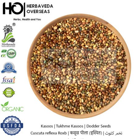 Kasoos | Tukhme Kasoos | Dodder Seeds | Cuscuta reflexa Roxb | कसूस पीला (इस्पित)