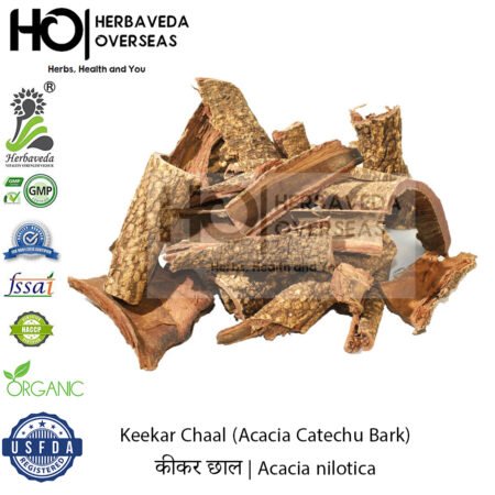 Keekar (Acacia Bark) | कीकर छाल | Acacia nilotica