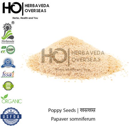 Poppy Seeds | खसखस | Papaver somniferum