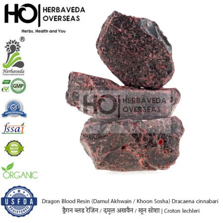 Dragon's Blood Resin (Dragon's Blood) | दमुल अखवैन / खून सोशा | Croton lechleri