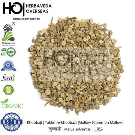 Khubbaji|Tukhm-e-khubbazi |Mallow (Common Mallow) | खुब्बाज़ी | Malva sylvestris