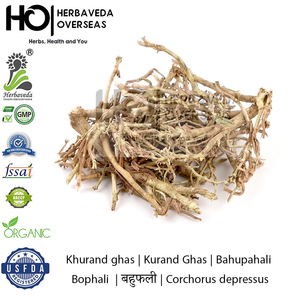 Khurand ghas | Kurand Ghas | Bahupahali |Bophali | बहुफली | Corchorus depressus