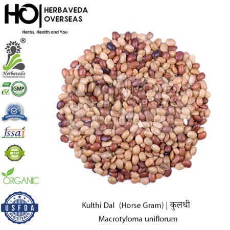 Kulthi (Horse Gram) | कुलथी | Macrotyloma uniflorum