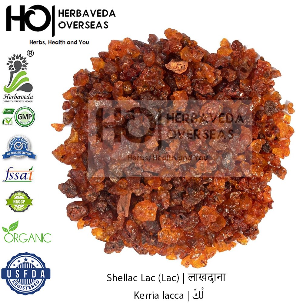 Shellac Lac (Lac) | लाखदाना | Kerria lacca