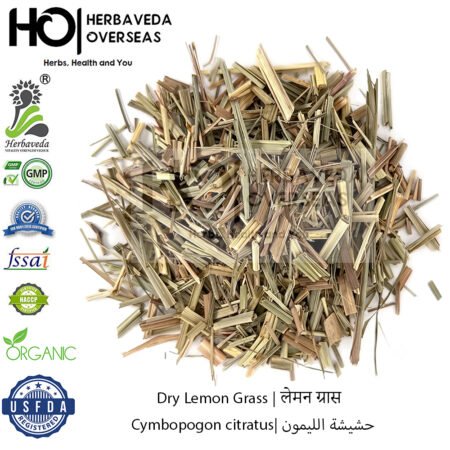Lemon Grass | लेमन ग्रास | Cymbopogon citratus