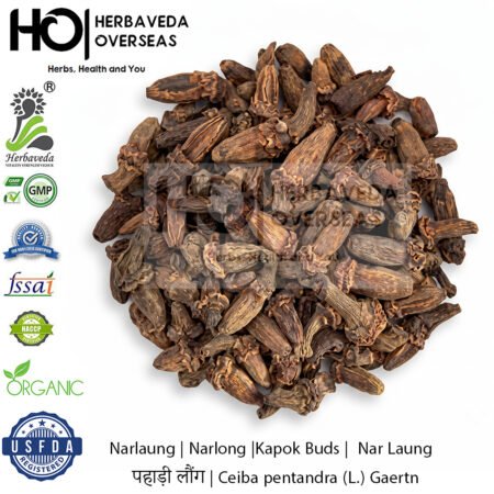 Narlaung | Narlong |Kapok Buds |  Nar Laung | पहाड़ी लौंग | Ceiba pentandra (L.) Gaertn