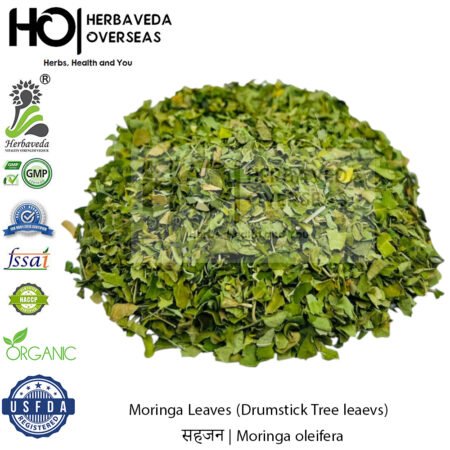 Moringa Leaves (Drumstick Tree leaevs) | सहजन | Moringa oleifera