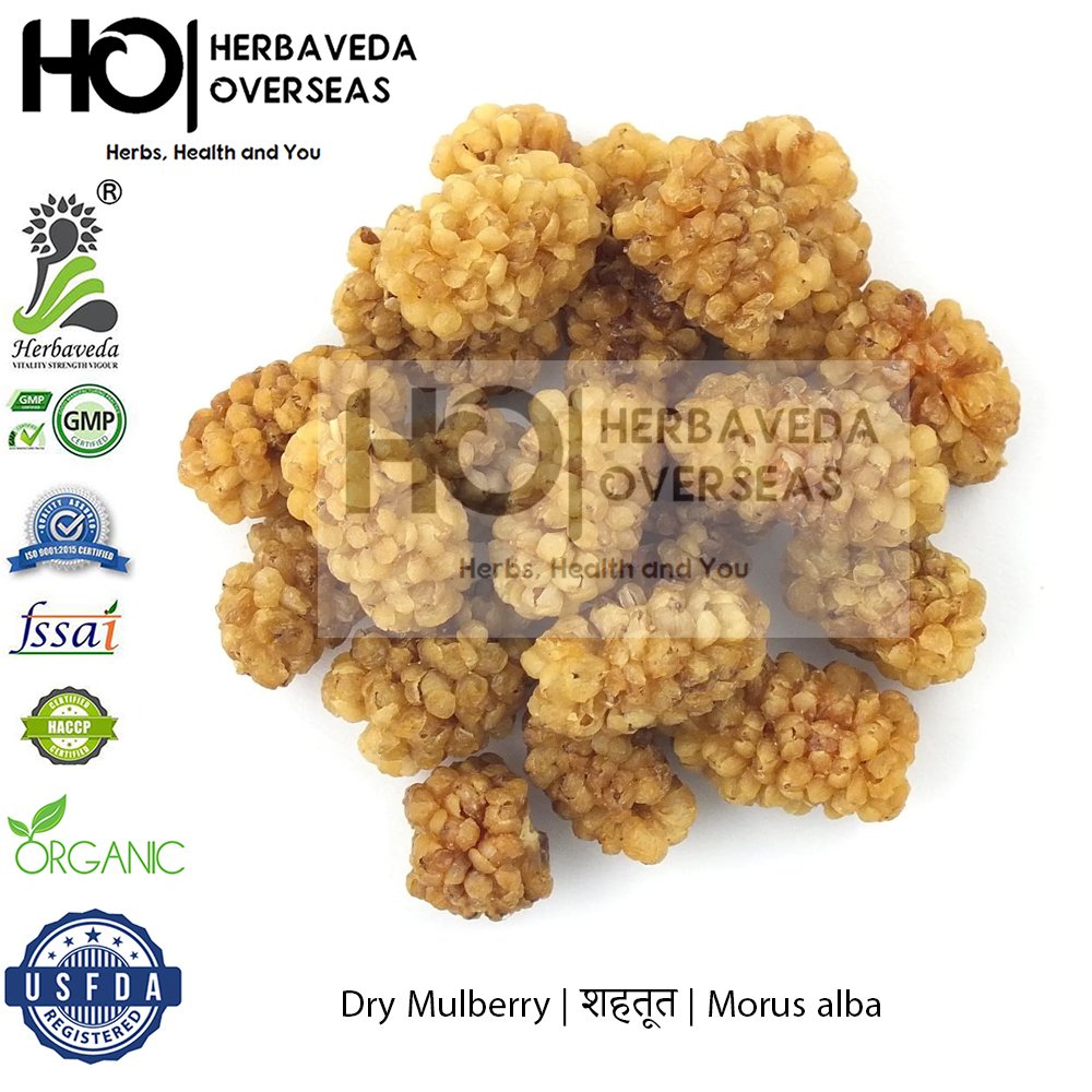 Dry Mulberry | शहतूत | Morus alba