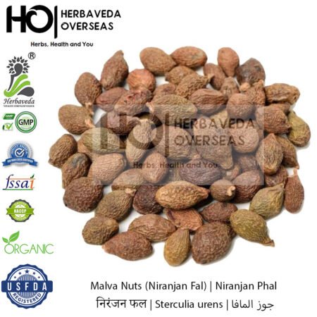 Malva Nuts (Niranjan Fal) | निरंजन फल | Sterculia urens