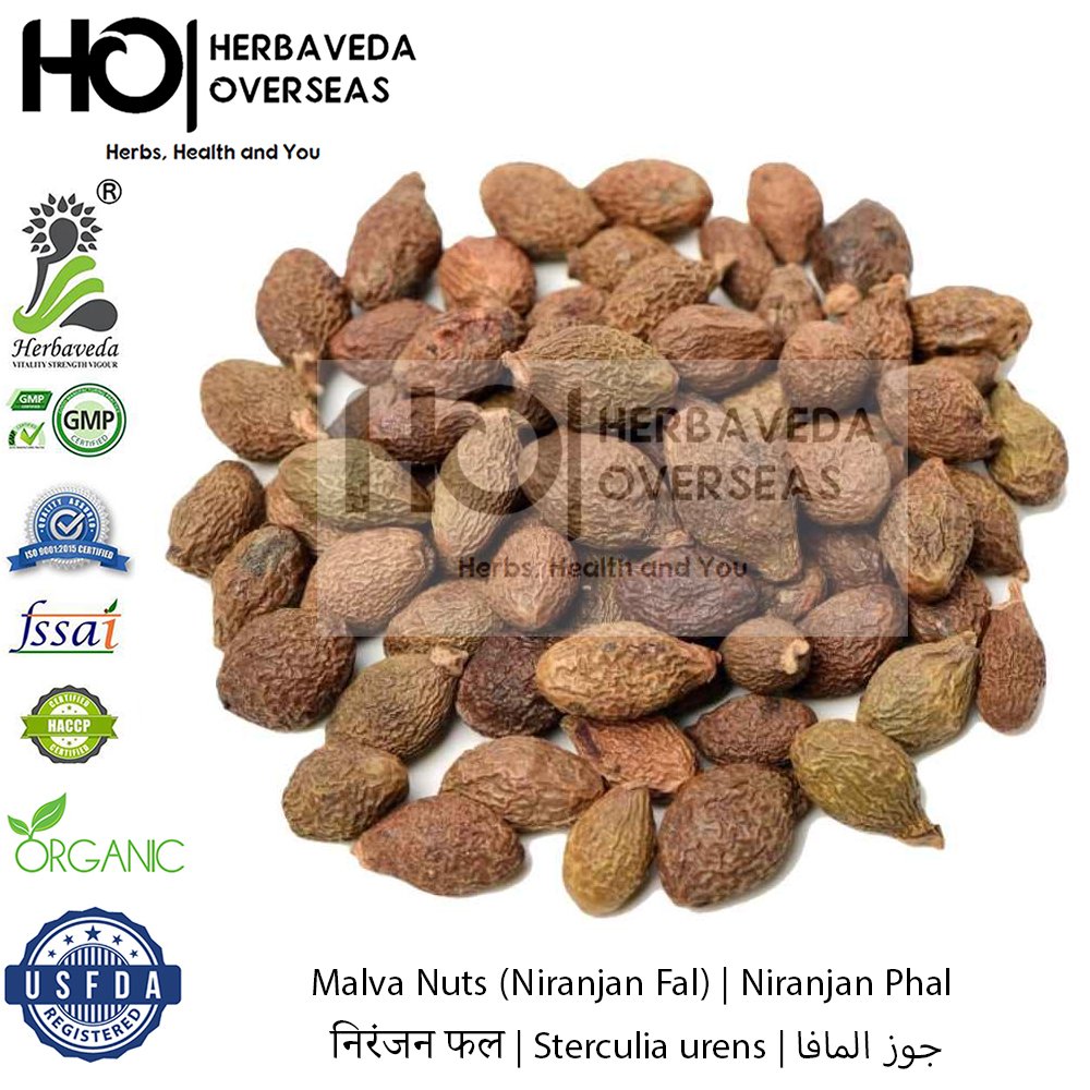 Malva Nuts (Niranjan Fal) | निरंजन फल | Sterculia urens