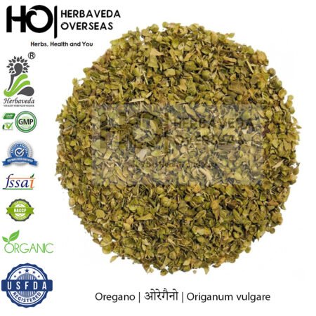 Oregano | ओरेगैनो | Origanum vulgare