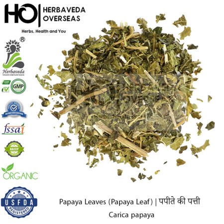 Papaya Leaves (Papaya Leaf) | पपीते की पत्ती | Carica papaya