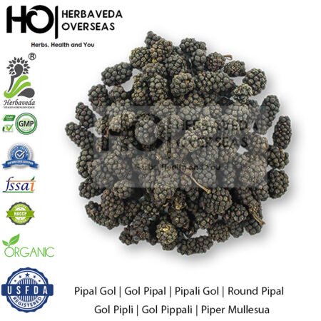Pipal Gol | Gol Pipal | Pipali Gol | Round Pipal | Gol Pipli | Gol Pippali | Piper Mullesua
