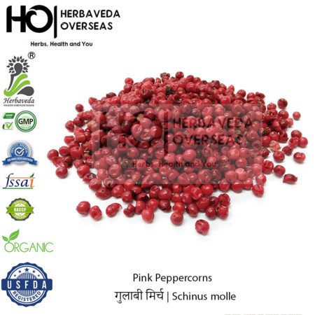 Pink Peppercorns | गुलाबी मिर्च | Schinus molle