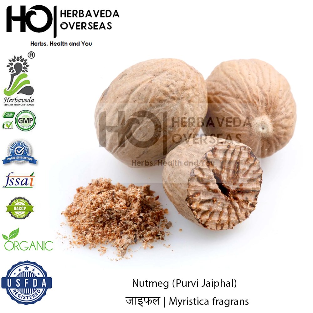 Nutmeg (Purvi Jaiphal) | जाइफल | Myristica fragrans