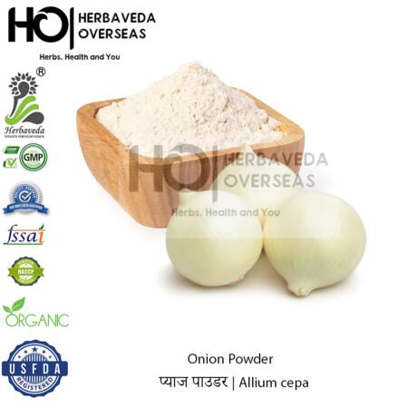Onion Powder | प्याज पाउडर | Allium cepa