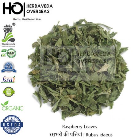 Raspberry Leaves | रसभरी की पत्तियां | Rubus idaeus