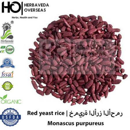Red Yeast Rice (Red Yeast Rice) | लाल खमीर चावल | Monascus purpureus