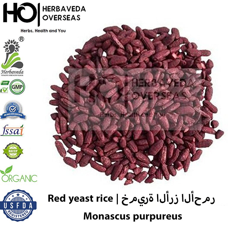 Red Yeast Rice (Red Yeast Rice) | लाल खमीर चावल | Monascus purpureus