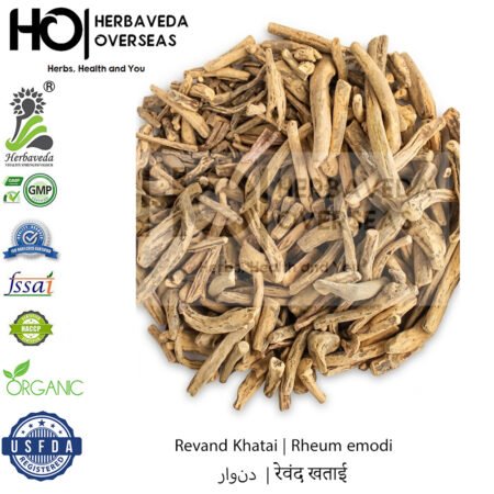 Revan Khatai  |   रेवन खटाई | Rheum emodi | .ريوند خطائ