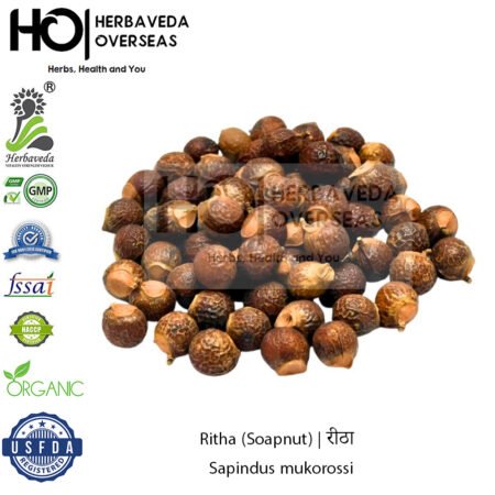 Ritha (Soapnut) | रीठा | Sapindus mukorossi