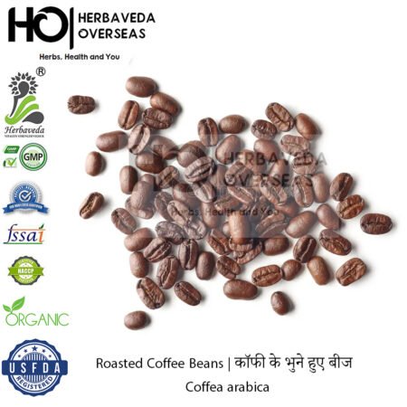 Roasted Coffee Beans | कॉफी के भुने हुए बीज | Coffea arabica