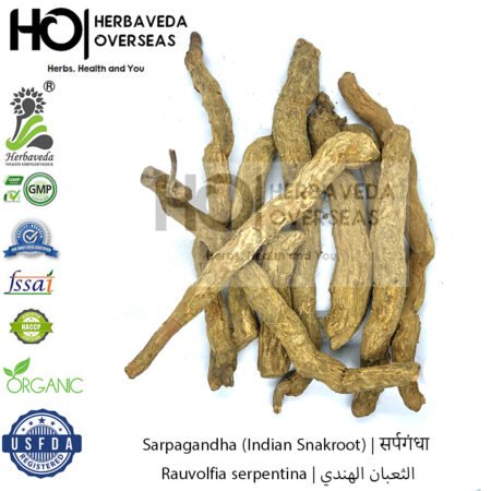 Sarpagandha (Indian Snakroot) | सर्पगंधा | Rauvolfia serpentina