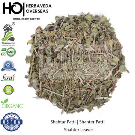 Shahtar Patti | Shahter Patti | Shahter Leaves | Satureja hortensis