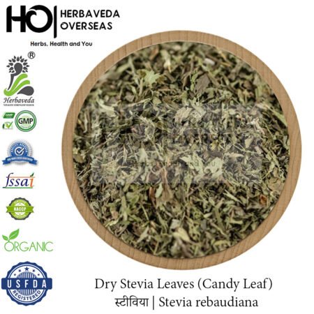 Dry Stevia Leaves (Candy Leaf) | स्टीविया | Stevia rebaudiana