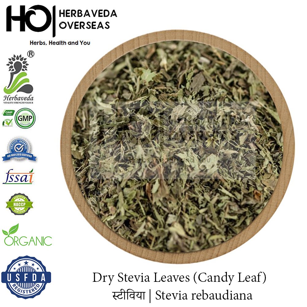 Dry Stevia Leaves (Candy Leaf) | स्टीविया | Stevia rebaudiana