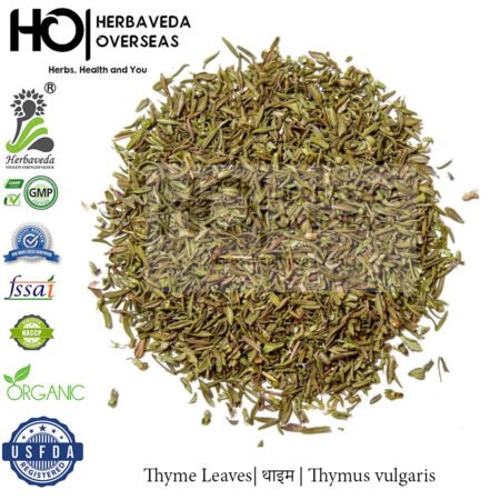 Thyme Leaves| थाइम | Thymus vulgaris