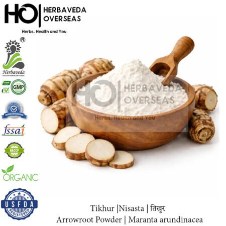 Tikhur |Nisasta | तिखुर | Arrowroot Powder | Maranta arundinacea