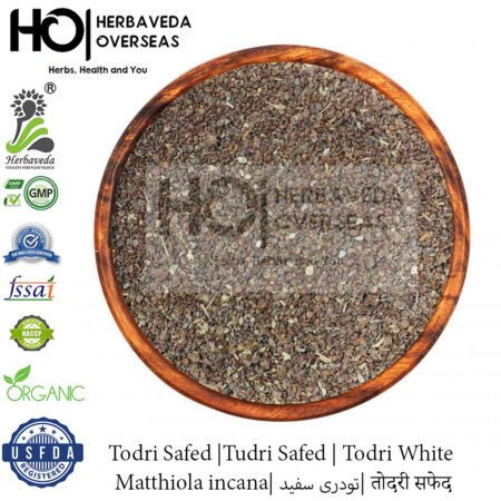 Todri Safed |Tudri Safed | Todri White | Matthiola incana| تودری سفید| तोदरी सफेद