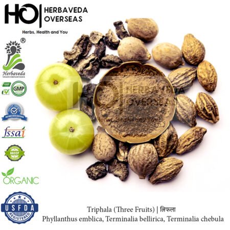 Triphala (Three Fruits) | त्रिफला | Phyllanthus emblica, Terminalia bellirica, Terminalia chebula