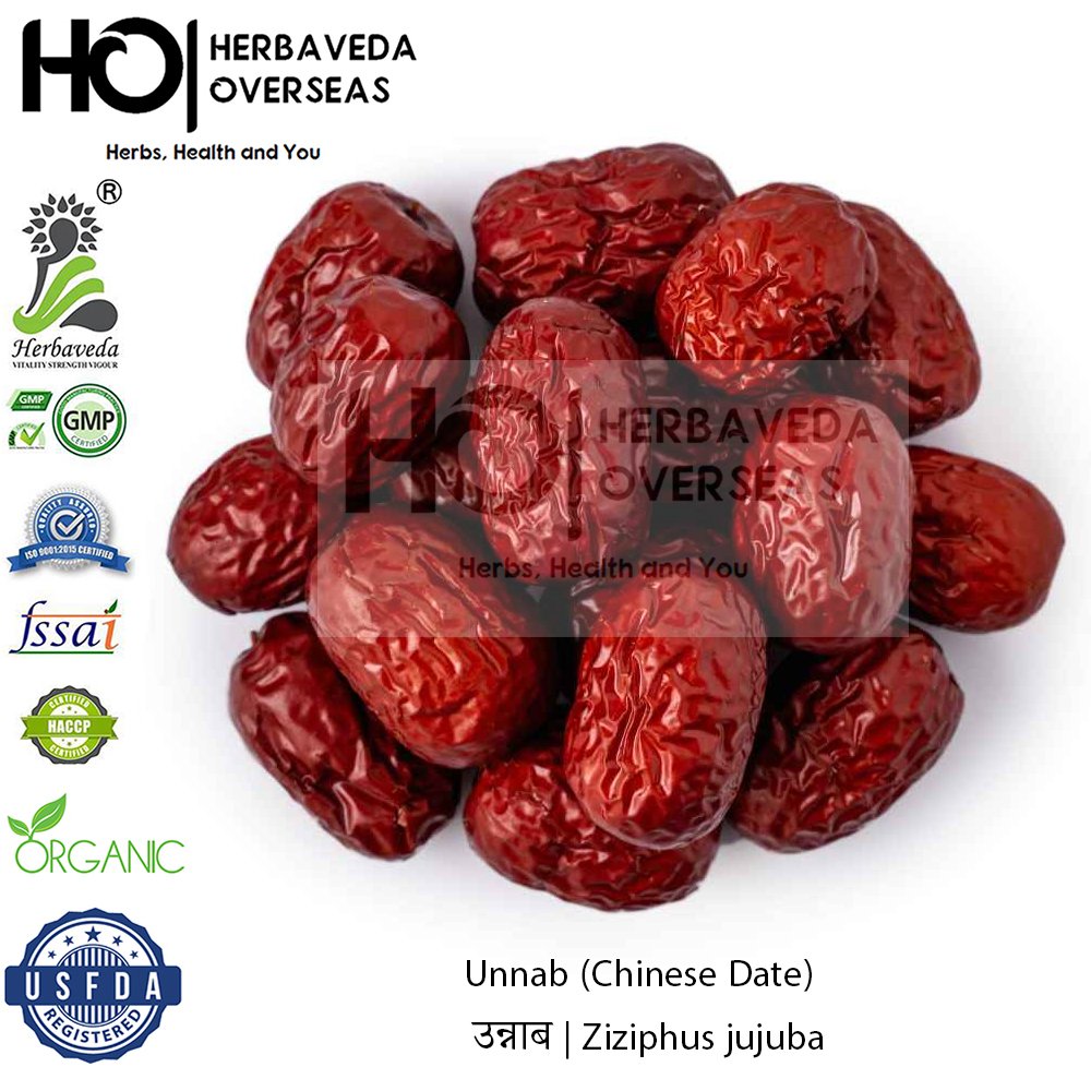 Unnab (Chinese Date) | उन्नाब | Ziziphus jujuba