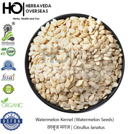 Watermelon Kernel (Watermelon Seeds) | तरबूज मगज | Citrullus lanatus