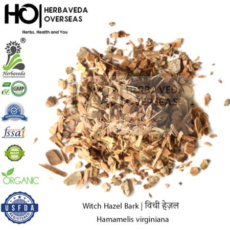 Witch Hazel Bark | विची हेज़ल | Hamamelis virginiana